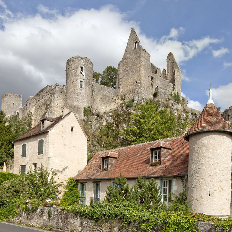 Angles-sur-l'Anglin, Château et maison 