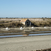 Île de Ré