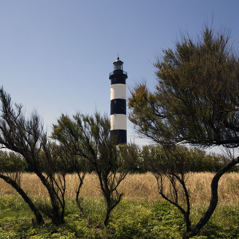 Saint-Denis-d'Oléron, Phare de Chassiron