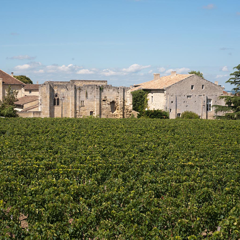 Vue générale du front nord-est, depuis les vignes environnantes