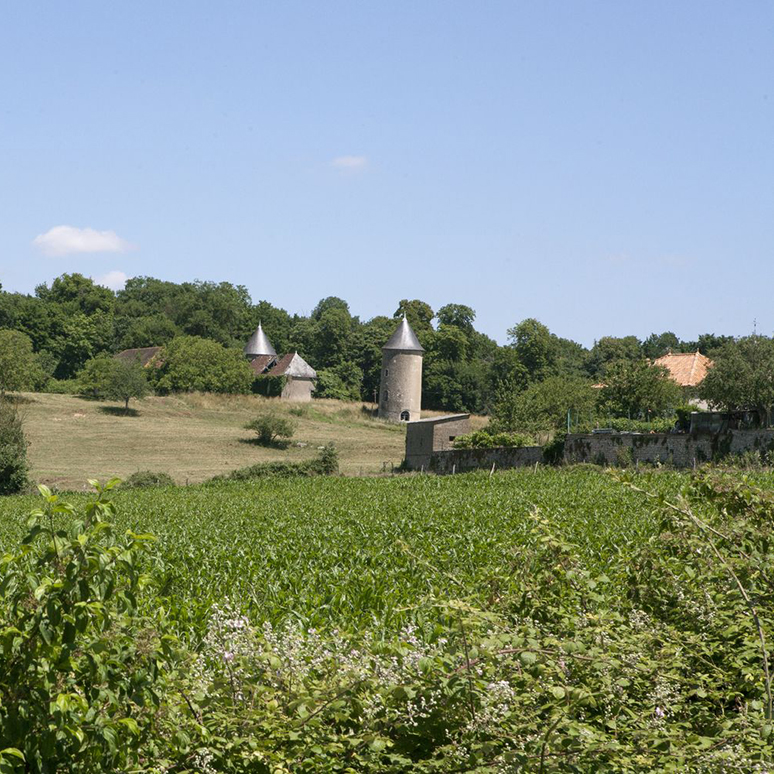 Persac, Paysage aux environs du château de la Brûlonnière