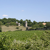 Vallée de la Vienne