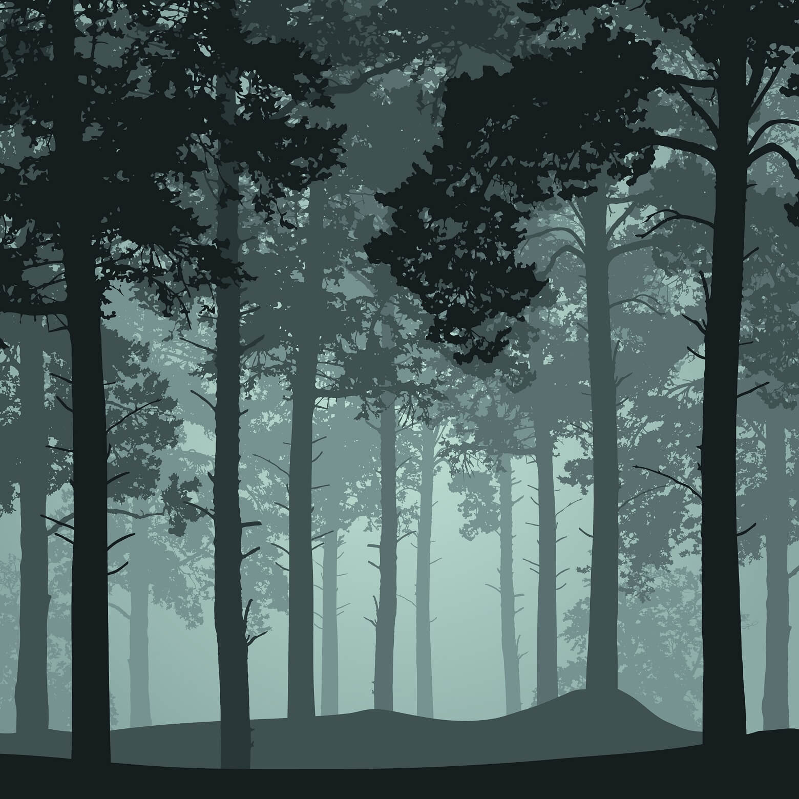 Illustration forêt de pins