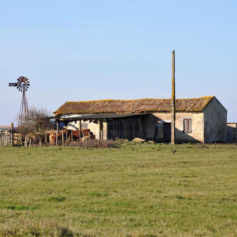 Saint-Ciers-sur-Gironde, Maison, puits avec éolienne, dans les marais. (c) Région Nouvelle-Aquitaine, Inventaire général du patrimoine culturel – Claire Steimer