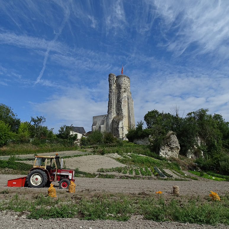 La tour du Haut-Clairvaux à Scorbé-Clairvaux. © Région Nouvelle-Aquitaine, Inventaire général du patrimoine culturel ; © Communauté d’Agglomération de Grand Châtellerault / Clarisse Lorieux.