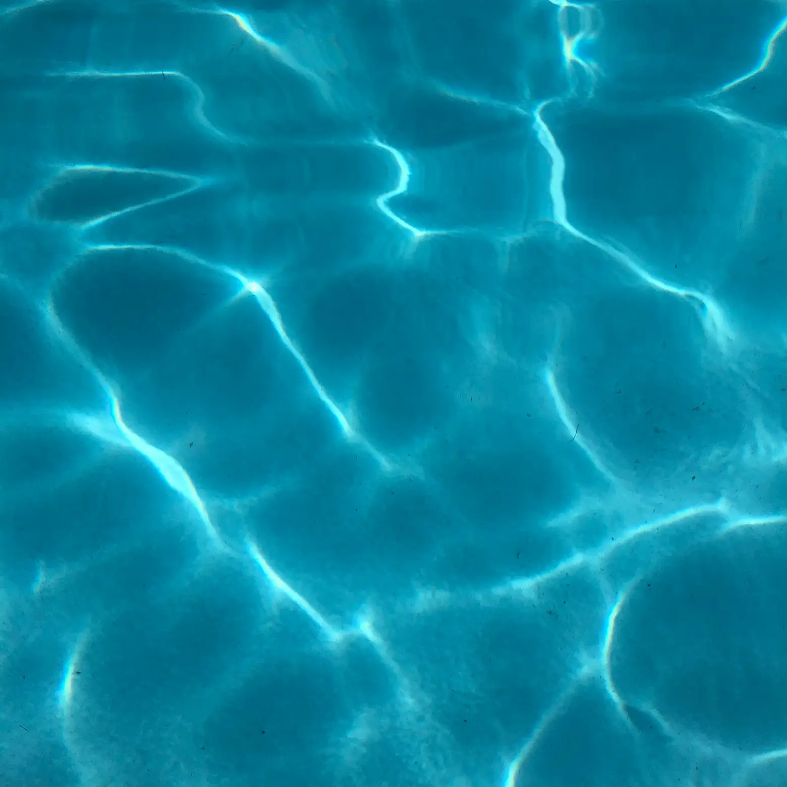 Sortie publique | Naïade