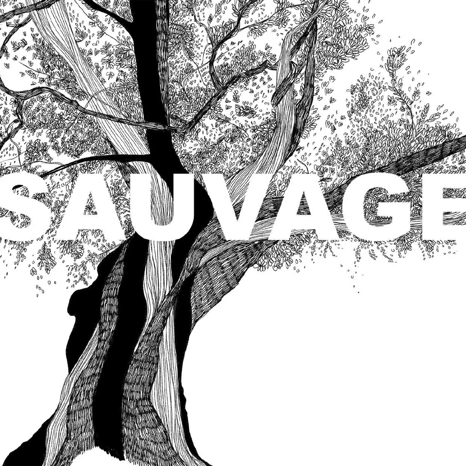 Sauvage © Le Maxiphone