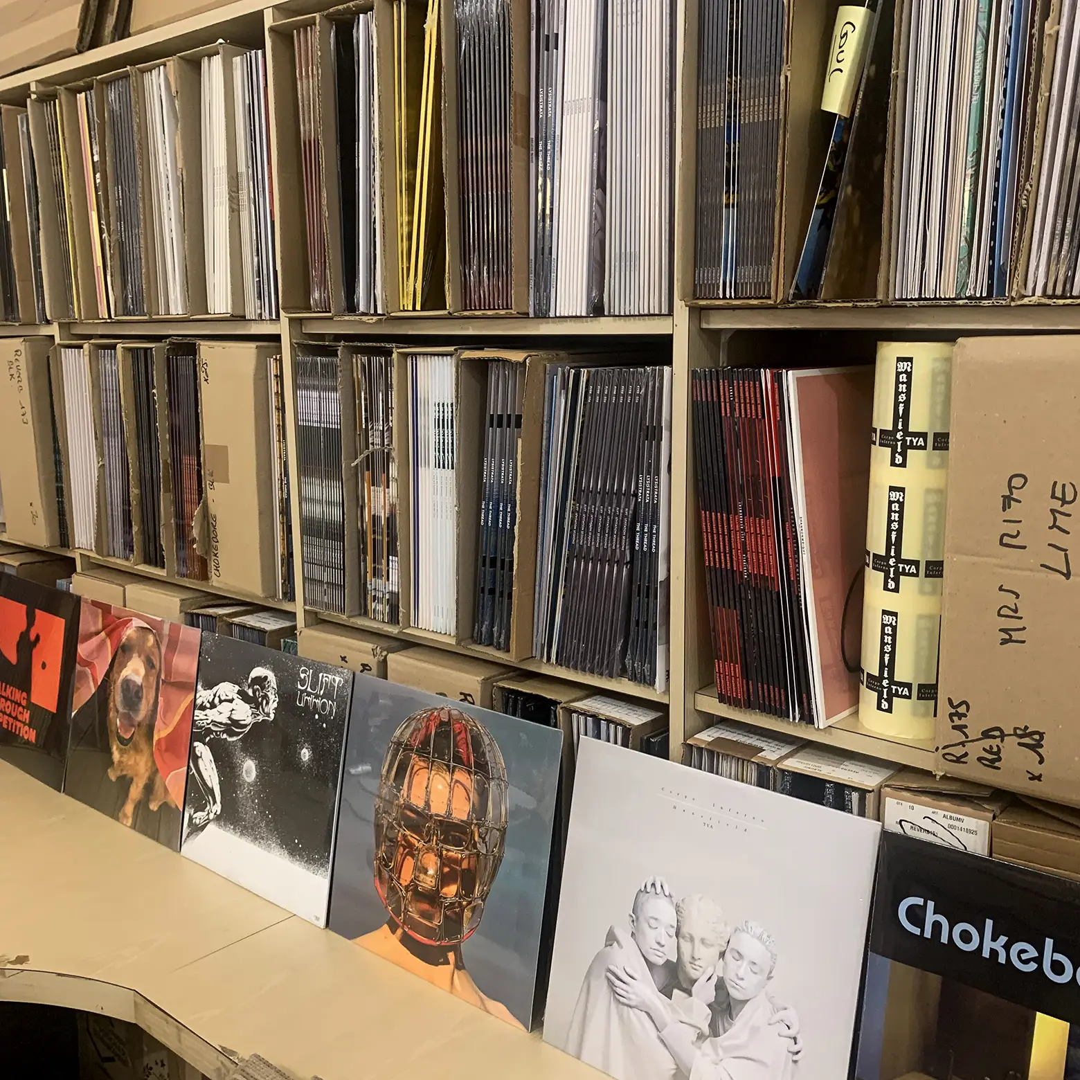 Vicious Circle | le label qui croit au vinyle