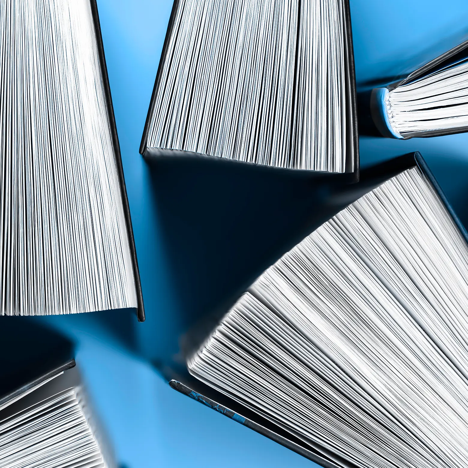 AdobeStock #1892707141 par Evgenii