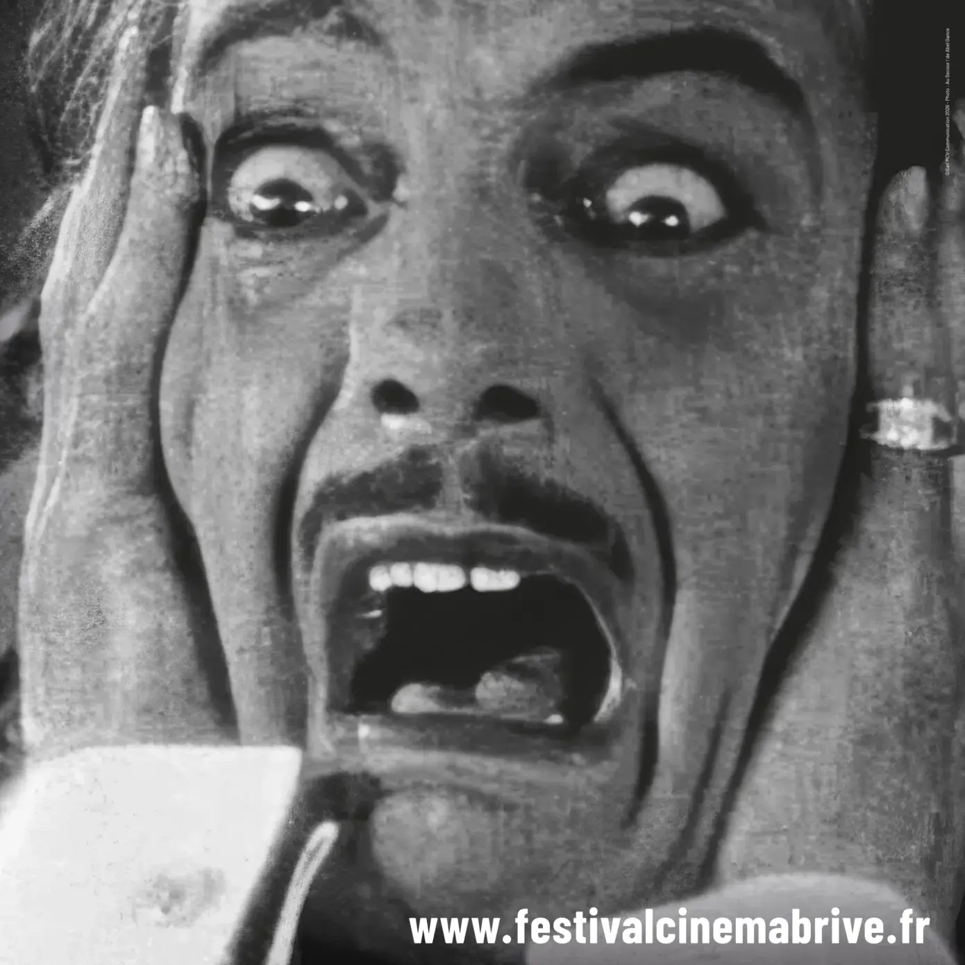 Festival du cinéma de Brive