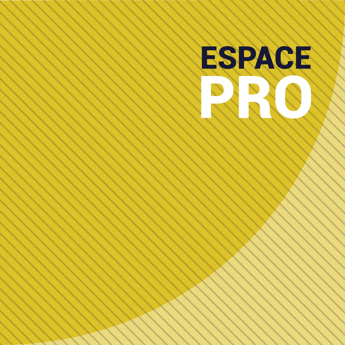 Espace <span>professionnel</span>