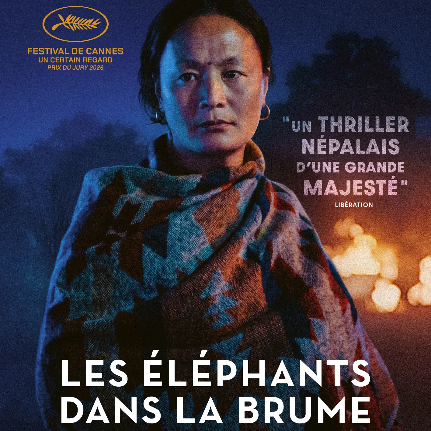 Les Éléphants dans la brume
