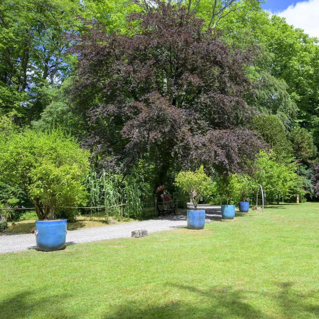 Domaine du Sarrat
