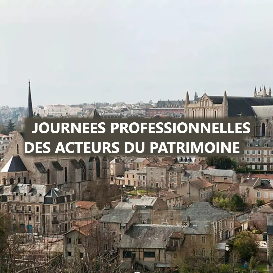 Journées professionnelles des acteurs du patrimoine